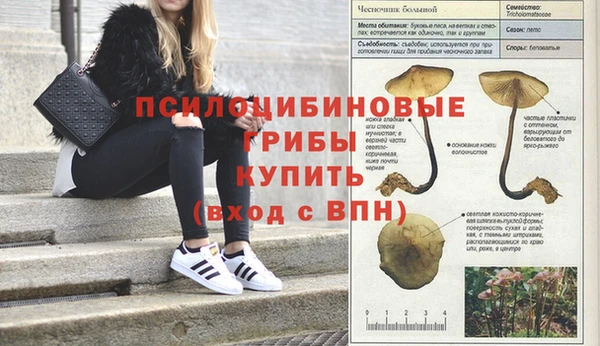 МДПВ Алексеевка