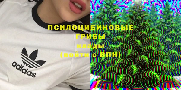 сатива Алексин