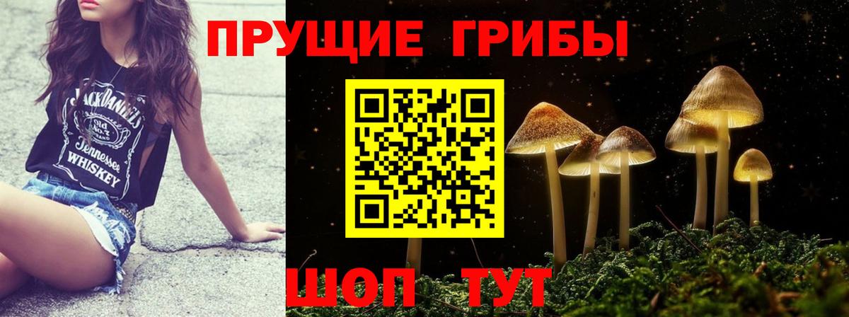купить закладку  Вход с VPN  Нефтекумск  Псилоцибиновые грибы ЛСД 